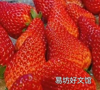 草莓為什么那么容易壞
