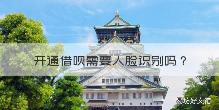 开通借呗需要人脸识别,支付宝借呗必须让刷脸怎么办呢