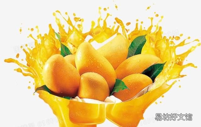 芒果的功效是止咳还是止渴