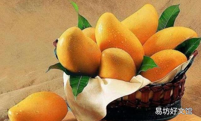 芒果的功效是止咳还是止渴