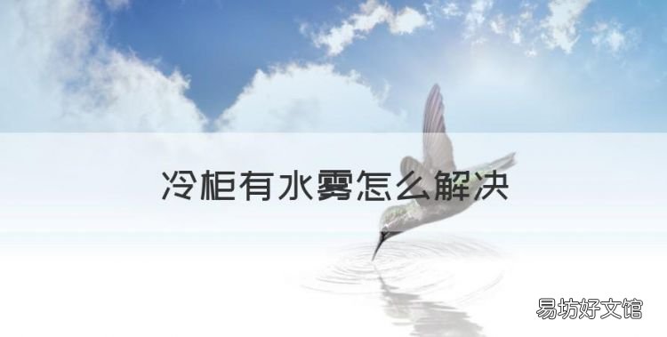 冷柜有水雾怎么解决,冰箱内有水汽怎么处理干净