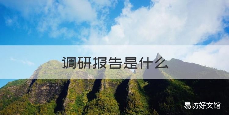 调研报告是什么,调研报告和实验报告有什么不同
