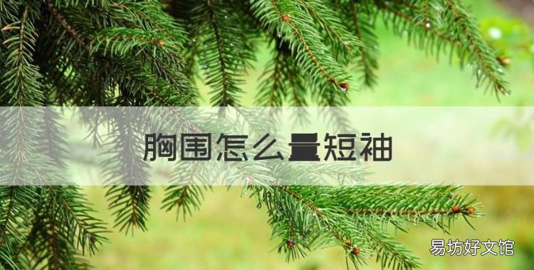 胸围怎么量短袖,短袖t恤男装尺码表