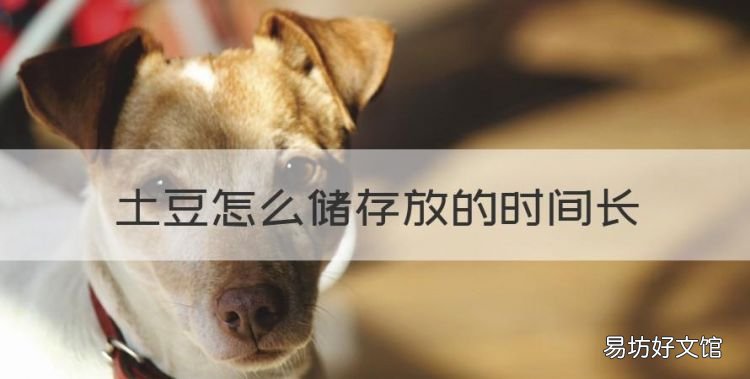 土豆怎么储存放的时间长,土豆怎样长时间保存不坏