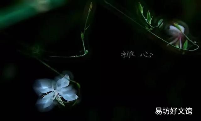 徐志摩再別康橋朗誦配樂 徐志摩《再別康橋》