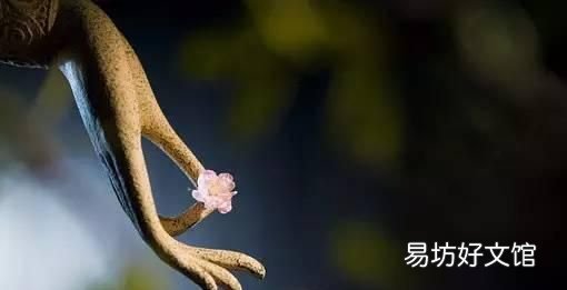 徐志摩再別康橋朗誦配樂 徐志摩《再別康橋》