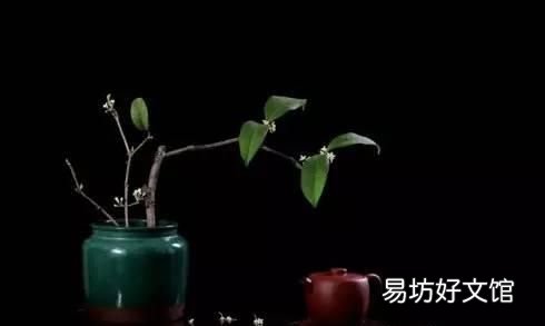 徐志摩再別康橋朗誦配樂 徐志摩《再別康橋》