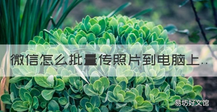 微信怎么保存大量图片,微信怎么批量传照片到电脑上