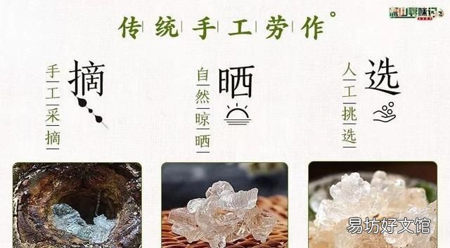 野生雪燕天然植物燕窝 植物雪燕与燕窝的功效与区别
