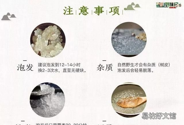 野生雪燕天然植物燕窝 植物雪燕与燕窝的功效与区别