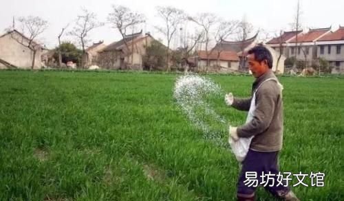 化肥瘦地和把粪尿沤熟以后肥地相比哪个更好