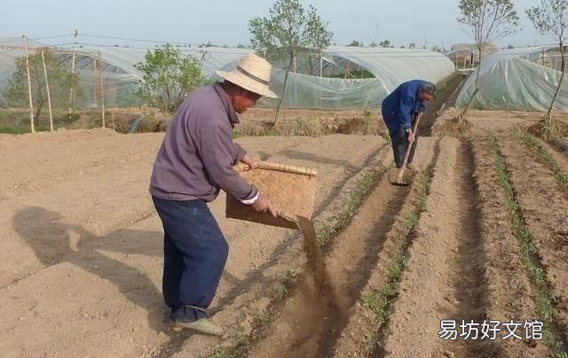 化肥瘦地和把粪尿沤熟以后肥地相比哪个更好