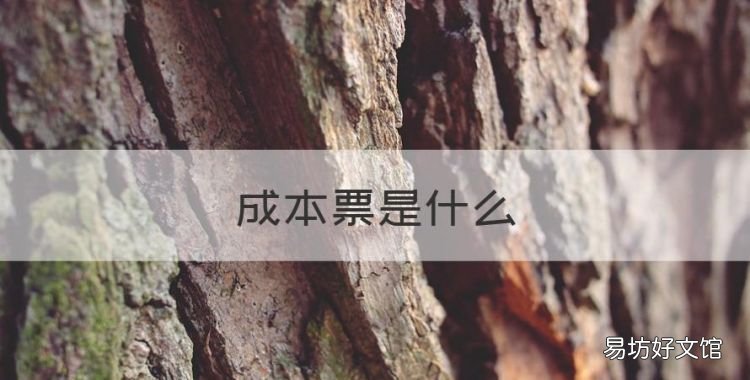成本票是什么,公司成本票是什么意思