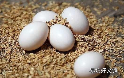 鸽子蛋煮多长时间才好吃 鸽子蛋好吃吗