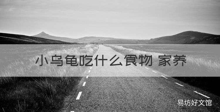 养乌龟喂它吃什么食物,小乌龟吃什么食物 家养