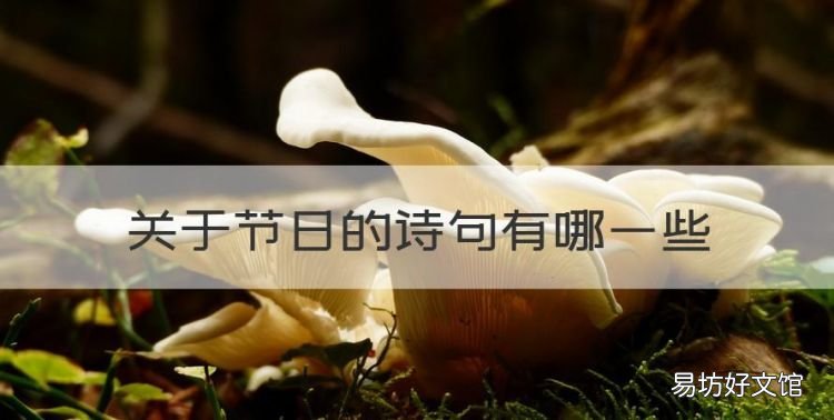 关于节日的古诗，关于节日的诗句有哪些