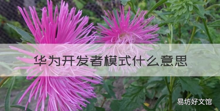 华为开发者模式什么意思，如何看华为手机是否处于开发者模式呢
