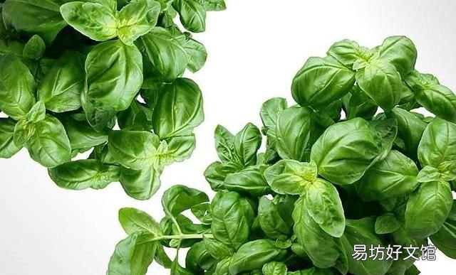 为什么立春要多吃蔬菜水果