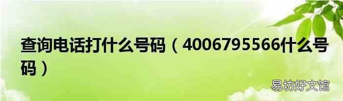 4006795566什么号码 查询电话打什么号码