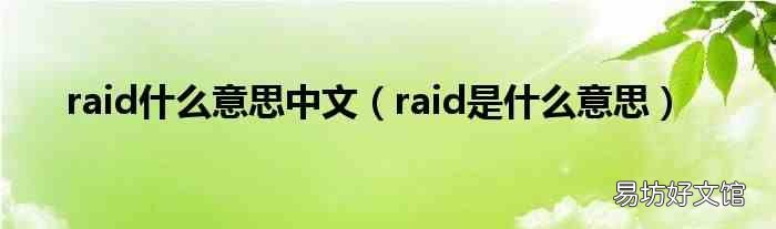 raid是什么意思 raid什么意思中文