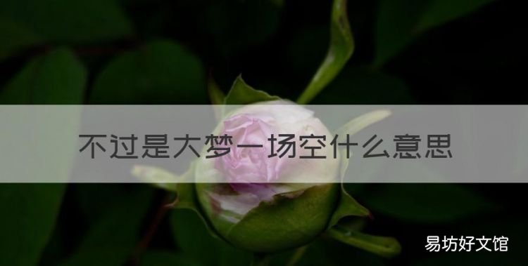 不过是大梦一场空什么意思