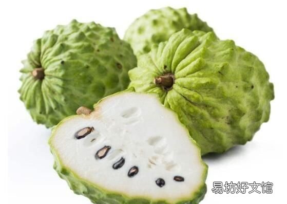 释迦果的种植方法和技术 释迦果树苗怎么种植