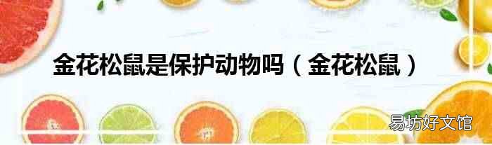 金花松鼠 金花松鼠是保护动物吗