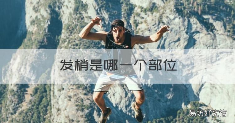 发梢是哪一个部位,发梢是哪个部位图