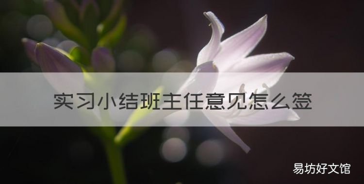 护理带教老师评语怎么写,实习小结班主任意见怎么签