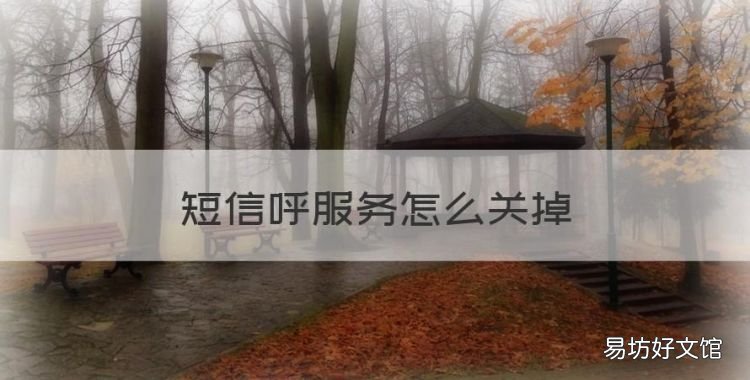 短信呼服务怎么关掉，1016501苹果6sp短信怎么取消
