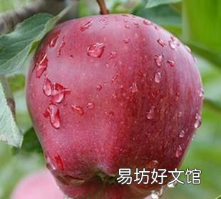 苹果和榴莲杂交出来的水果 有什么水果是杂交出来的呢