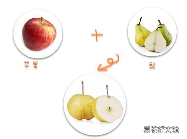 苹果和榴莲杂交出来的水果 有什么水果是杂交出来的呢