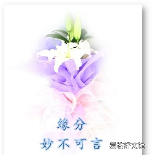 缘是什么来的 缘是什么