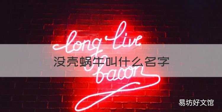 没壳蜗牛叫什么名字