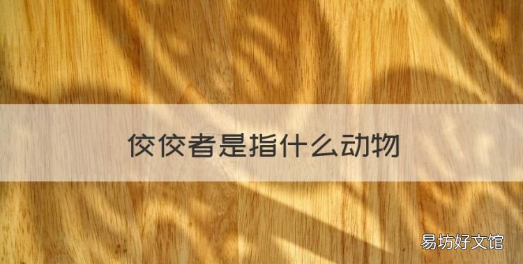 搜索一下生肖马，佼佼者是指什么动物