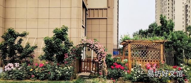 住一樓的體會和感受 住在一樓的感受