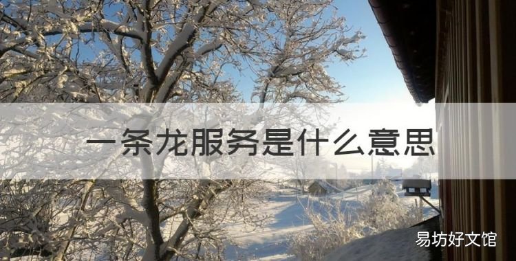 一条龙服务是什么意思,一条龙的服务是指的是什么服务