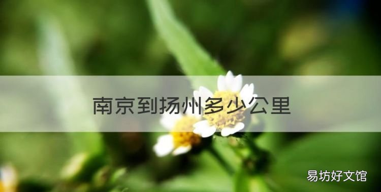 南京到扬州多少公里