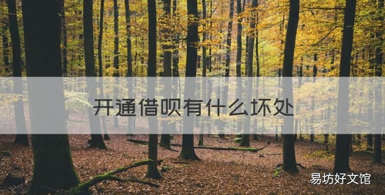 开通借呗有什么坏处,平时用花呗借呗会不会影响房贷