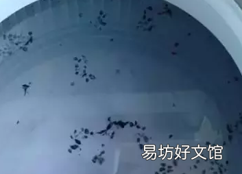 洗衣机怎么清洗 方法,清洗洗衣机用什么方法最好