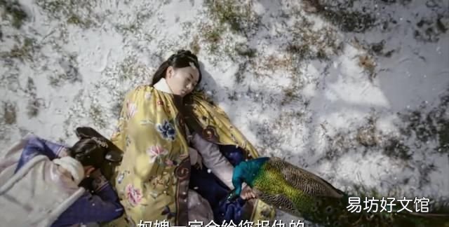 如懿传八大心字辈丫鬟的结局,如懿传 中八个新字辈的丫头