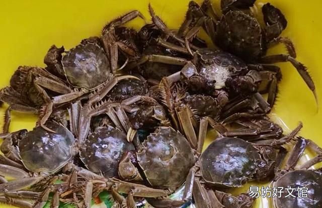 熟螃蟹能放冰箱过夜吗 螃蟹如何保存一周不放冰箱