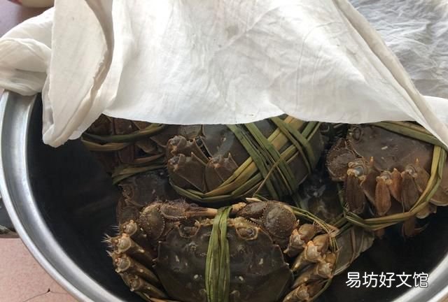 熟螃蟹能放冰箱过夜吗 螃蟹如何保存一周不放冰箱