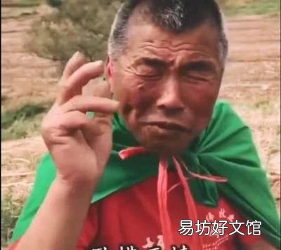 2020最火十大网络热梗