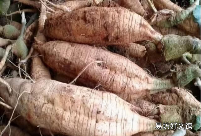 喝什么能快速解酒蜂蜜浓茶,喝蜂蜜和浓茶可以快速解酒吗