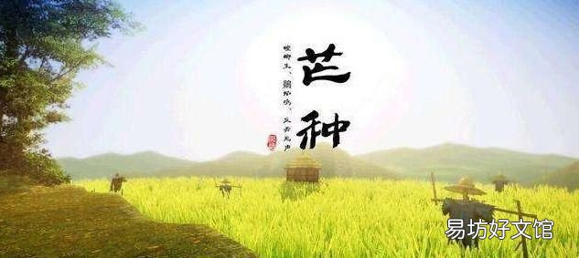 24节气芒种什么时间 芒种是春天吗