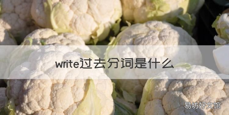 write过去分词是什么