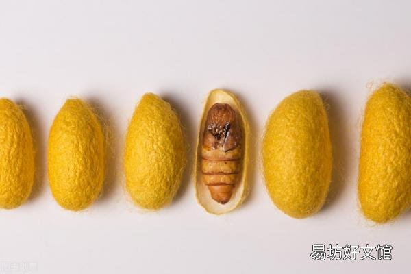 20种让人欲罢不能的美食小吃 东北最火的小吃都有些什么