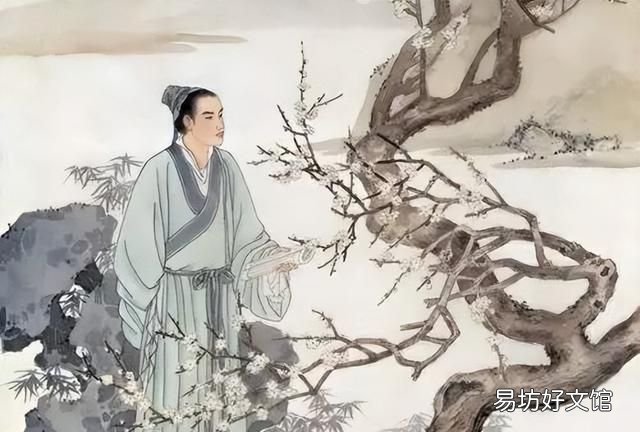 15个成语,15个必须知道的小知识有哪些