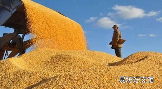 秋天是收获的季节你收获了吗,秋天是收获的季节能收获什么呢